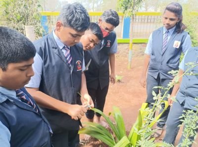 Multiskills garden work doing Nav krishna valley school students
