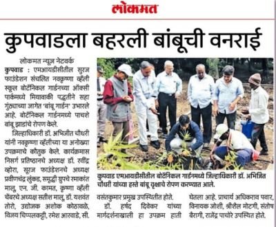 कुपवाडला भरली बांबूची वनराई