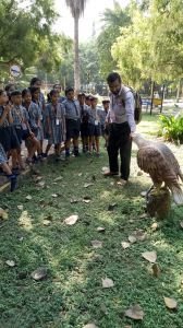  VISIT TO *Krishna Traffic Park Vishrambag Sangli... This activity was arranged to raise the awareness about the traffic Rules and signals among the student.