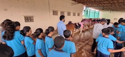 रानातला माझा खरा मित्र,
कष्टांचा माझा सोबती;
पोळ्याने मानतो मान त्याला,
कृतज्ञतेचीच हीच पूजा खरी! ????

आपण सगळे ज्या भूमीतून अन्नधान्य मिळवतो, त्या मातीत रात्रंदिवस घाम गाळून शेती करणारा शेतकरी आपल्या आयुष्यात खूप महत्वाचा आहे. पण त्या शेतकऱ्याचाही एक जिवलग, निस्वार्थी मित्र म्हणजे बैल! बैल हा केवळ पाळीव प्राणी नाही, तर तो शेतकऱ्याच्या आयुष्याचा अविभाज्य भाग आहे. रानावर नांगर चालवणे, गवत, धान्य वाहून नेणे, शेतीची इतर कामे – हे सर्व तो मनापासून करतो. न सांगता, न तक्रार करता फक्त कर्तव्यपरायणता व निष्ठेने.
याच बैलांच्या प्रति कृतज्ञता व्यक्त करण्यासाठी आपण बैलपोळा साजरा करतो. या दिवशी शेतकरी आपल्या बैलांना आंघोळ घालतो, शोभेचे हार, फुलं, रंग लावून त्यांना सजवतो. बैलांना गोडधोड खाऊ घालतो. ही केवळ परंपरा नाही, तर आपल्या मित्राबद्दलचा आदर, प्रेम आणि कृतज्ञतेची सुंदर अभिव्यक्ती आहे.
आपल्याला कायम लक्षात ठेवायला हवे की बैल शेतकऱ्याचा फक्त कामाचा साथीदार नसून तो आयुष्यभराचा मित्र आहे. म्हणूनच, बैलपोळा हा सण म्हणजे माती, माणूस आणि प्राणी यांच्यातील अनोखा बंध दृढ करणारा पवित्र दिवस आहे.

चला तर मग, आपणही आपल्या आयुष्यातील अशा सर्व मित्रांचे, साथीदारांचे मनापासून आभार मानूया! हाच  भाव मनात घेत आपल्या नव कृष्णा व्हॅली निवासी माध्यमातून विद्यार्थ्यांनी आपल्या फार्म हाऊस वरील गोट्याला भेट देत आपल्या महाराष्ट्रीयन बेंदूर व गोमातेस वंदन करून त्यांचे पूजन करून गुळ पोळीचा नैवेद्य अर्पण करत अतिशय उत्साहात हा समारंभ संपन्न केला.