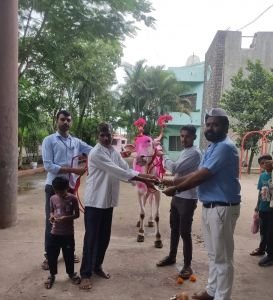 नव कृष्णा व्हॅली स्कूल मराठी माध्यम येथे बुधवार दिनांक 9 जुलै 2025 रोजी ' महाराष्ट्र बेंदूर 'हा सण साजरा करण्यात आला. श्री प्रमोद खरात यांनी शाळेत बैल आणले व  बैलाची पूजा श्री .प्रदीप पाटील  वसतिगृह प्रमुख यांच्या हस्ते करण्यात आली.
      शाळेतील सहाय्यक शिक्षिका सौ .कविता म्हेत्रे यांनी बेंदूर या सणाविषयी माहिती देताना बेंदूर हा महाराष्ट्रात साजरा होणार एक महत्त्वाचा कृषी सण आहे.
       या दिवशी बैला प्रति कृतज्ञता  व्यक्त केली जाते. बैलांना सजवून, त्याची पूजा करून, त्यांना कामातून विश्रांती दिली जाते. शेतकरी आणि बैल यांच्यातील दृढ संबंधाचे प्रतीक म्हणून हा सण साजरा केला जातो. आषाढ पौर्णिमेला हा सण साजरा करण्याची परंपरा आहे याविषयी माहिती दिली.
         नव कृष्णा व्हॅली स्कूल मराठी माध्यम मुख्याध्यापक श्री .अधिकराव पवार यांच्या प्रेरणेने , सर्व शिक्षक व शिक्षकेतर कर्मचारी व सर्व विद्यार्थी यांच्या उपस्थितीत महाराष्ट्र बेंदूर हा सण उत्साह पूर्ण वातावरणात संपन्न झाला.