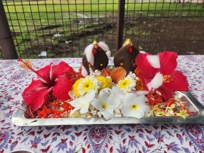 Nav Krishna Valley School celebrated Naag Panchami ????????with great enthusiasm and cultural spirit. ????????????????

The idol poojan of naagoba ???????? was performed by the Vice Principal Mr. Prashant Chavan Sir, the State Board Principal Mrs. Sunita Patil Maa'm and the coordinators Mrs. Naushad Bargir Mam and Mrs. Sushma R. Patil , seeking blessings for prosperity and protection. The function was full of enthusiasm and energy, reflecting the devotion and vibrant participation of all involved. The celebration helped students understand the cultural values and religious significance of this traditional festival. ????????
A special morning assembly was organized by Class 6 students to mark the occasion. The students shared various informative speeches about the significance, traditions, and importance of Naag Panchami in Indian culture.