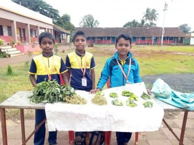 नव कृष्णा व्हॅली स्कूल उत्तुर व ज्युनिअर कॉलेज यांच्या वतीने रान भाजी प्रदर्शन व विक्री कार्यक्रम संपन्न झाला.