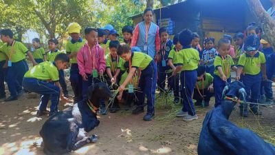 Field Trip - Radhanagari Farm House NKVS abhyaas cbse