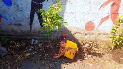 Nursery child  Shreesha Rajput gifted rose plant to her class friends & 1 chichoo( sapota) plant for school & plantation has been done by Shreesha in Abhyaas campus on account of her birthday.